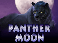 Автомат Panther Moon